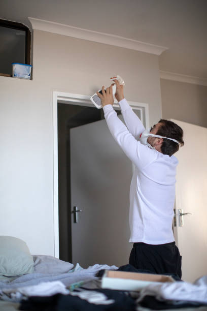 Trusted Murphys, CA Mold Removal Experts